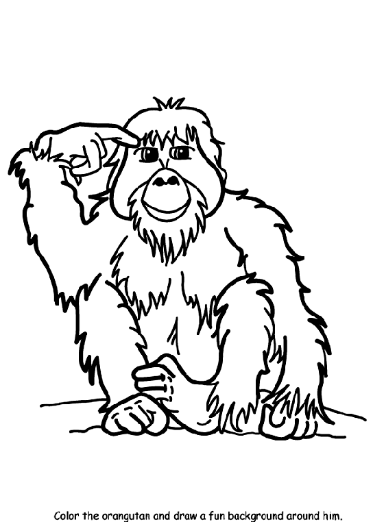 orangutan coloring page