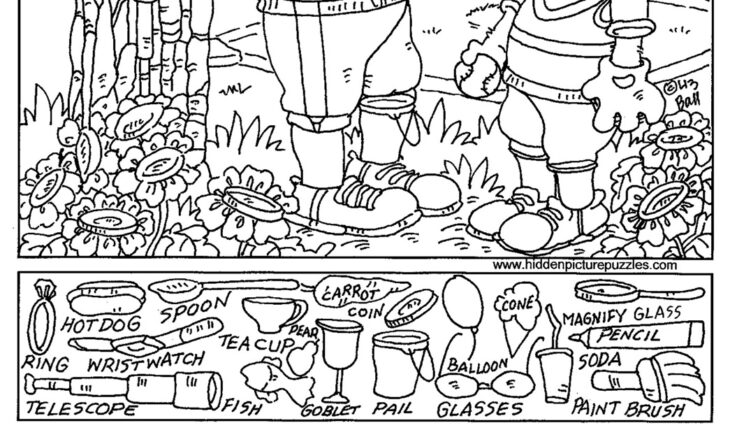 Hidden Figures Coloring Pages Hidden Figures Coloring Pages