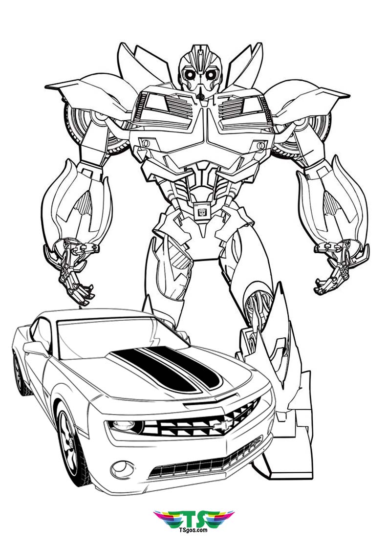 bumble bee coloring pages