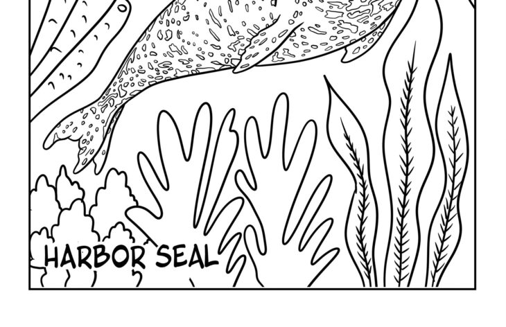 Coloring Pages Of Seals Seals Verbnow