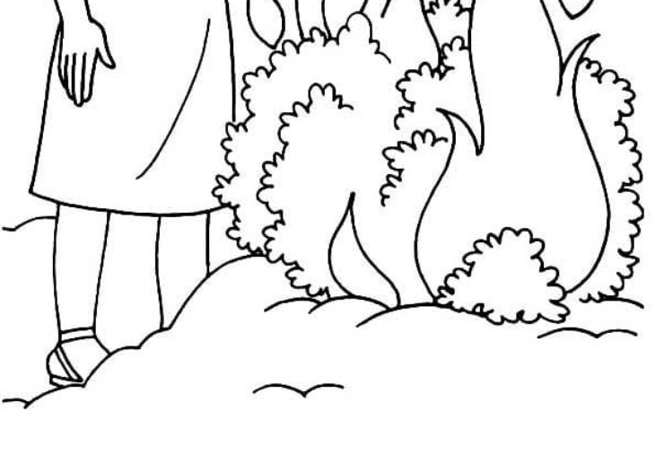 Burning Bush Coloring Page Printable Burning Bush Coloring Page