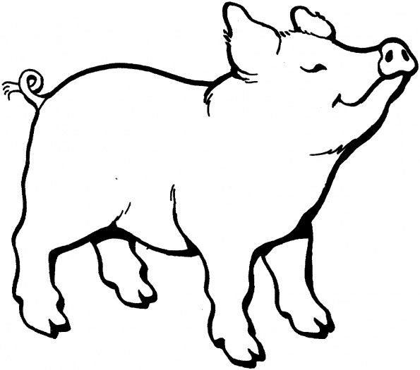 charlottes web coloring pages