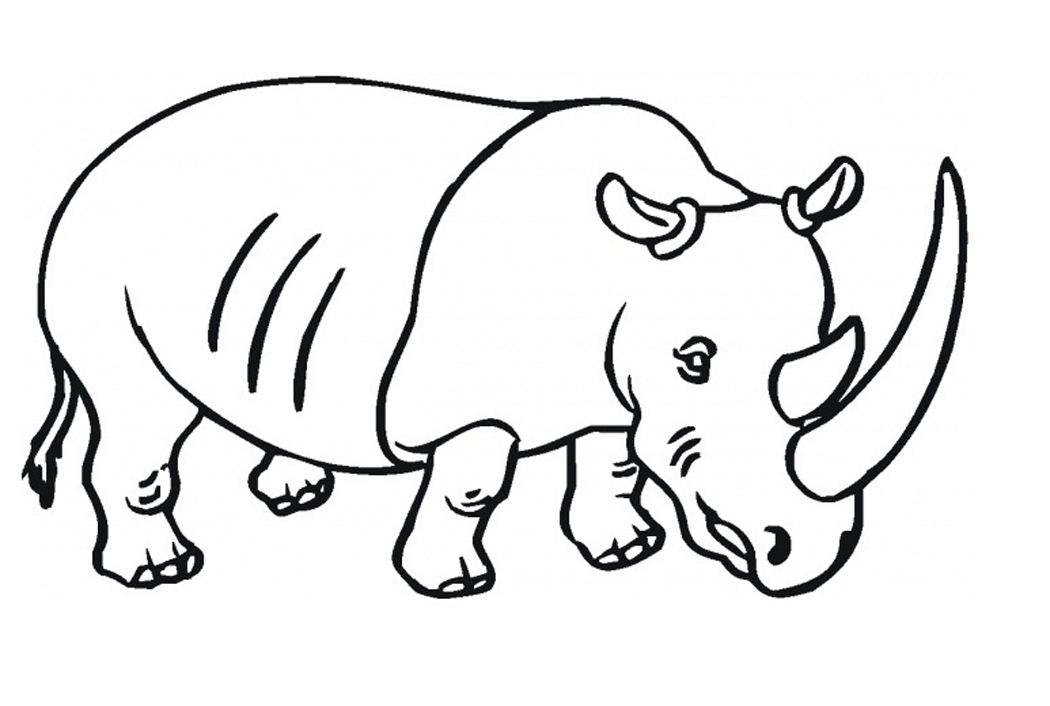 rhino coloring page