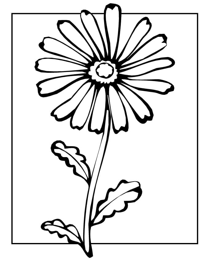 daisy flower coloring page