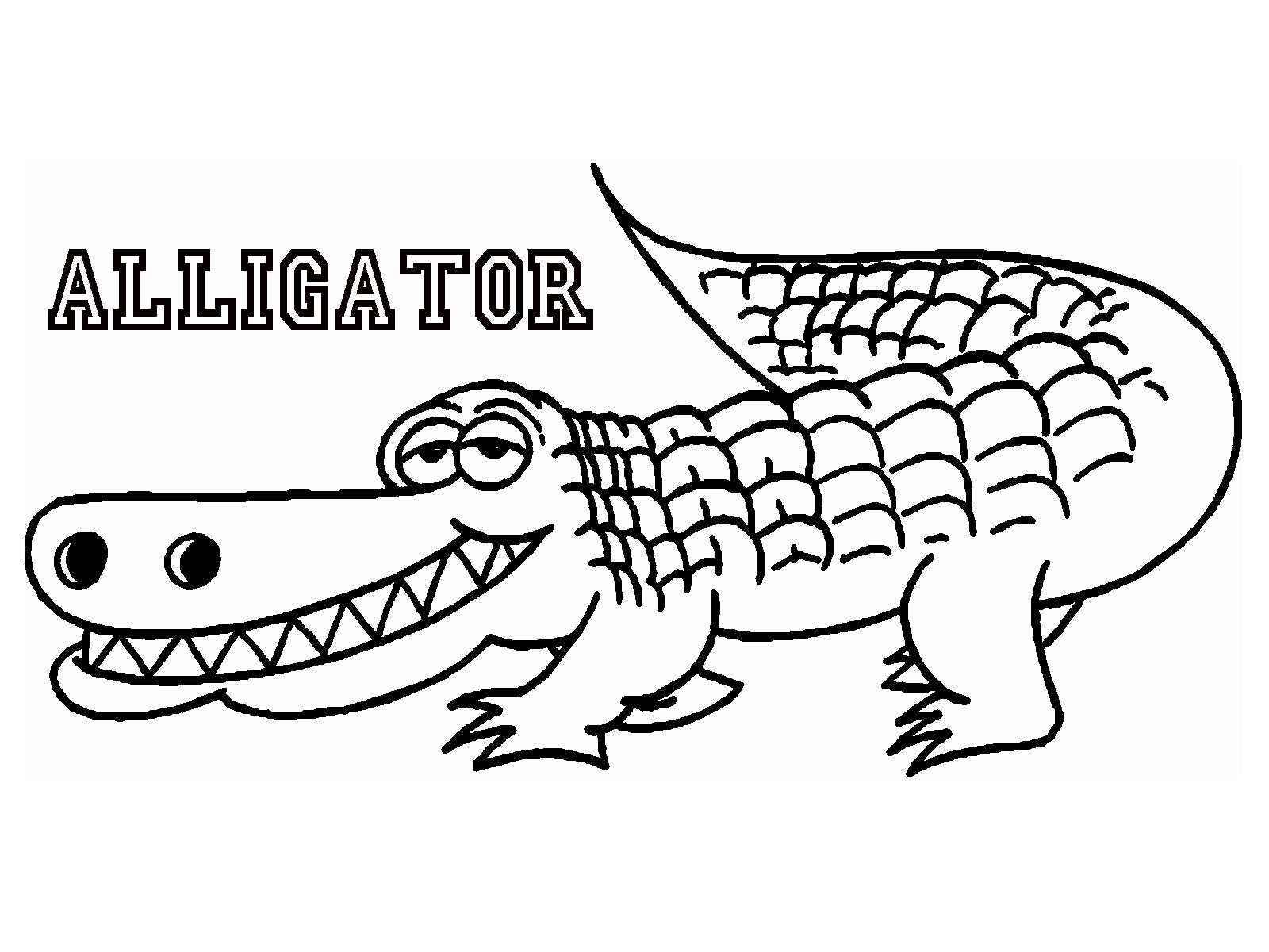 Alligator coloring, Download Alligator coloring for free 2019