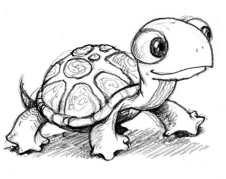 dessin a colorier et a imprimer tortue