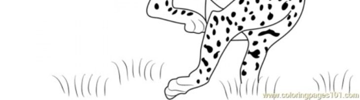 Easy Cheetah Coloring Pages Coloring Page For Kids