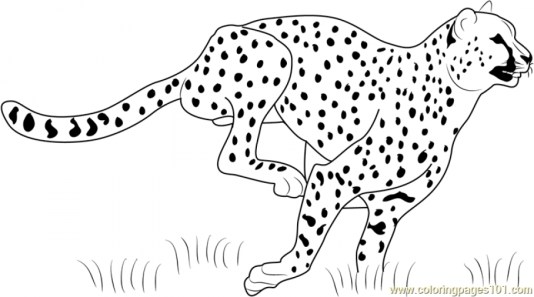 easy cheetah coloring pages