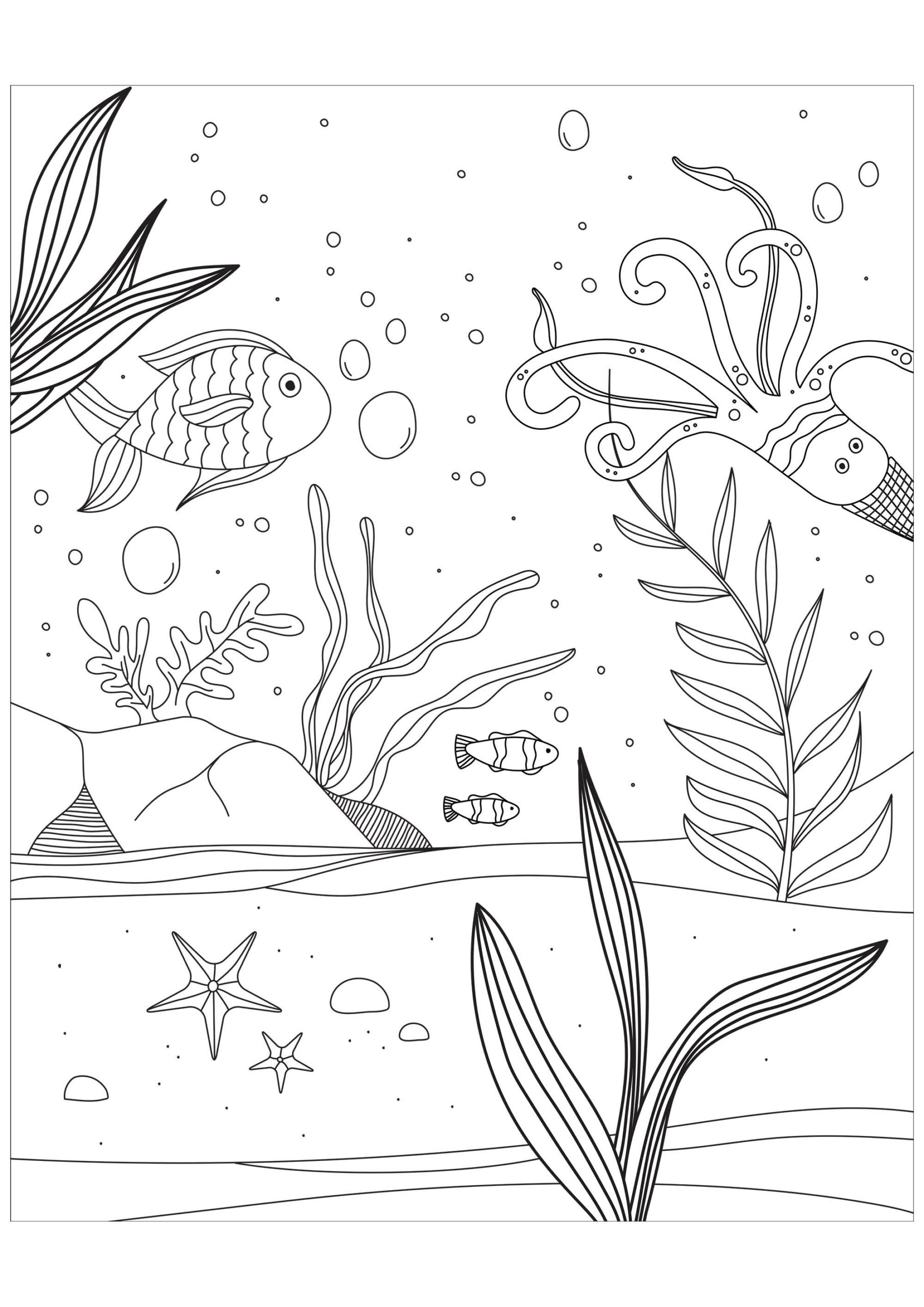 11 dessin a imprimer sous les mers pictures