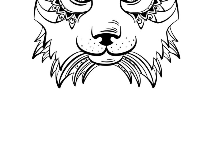 Coloriage D Animaux A Imprimer Coloriage204: Coloriage Animaux A Imprimer