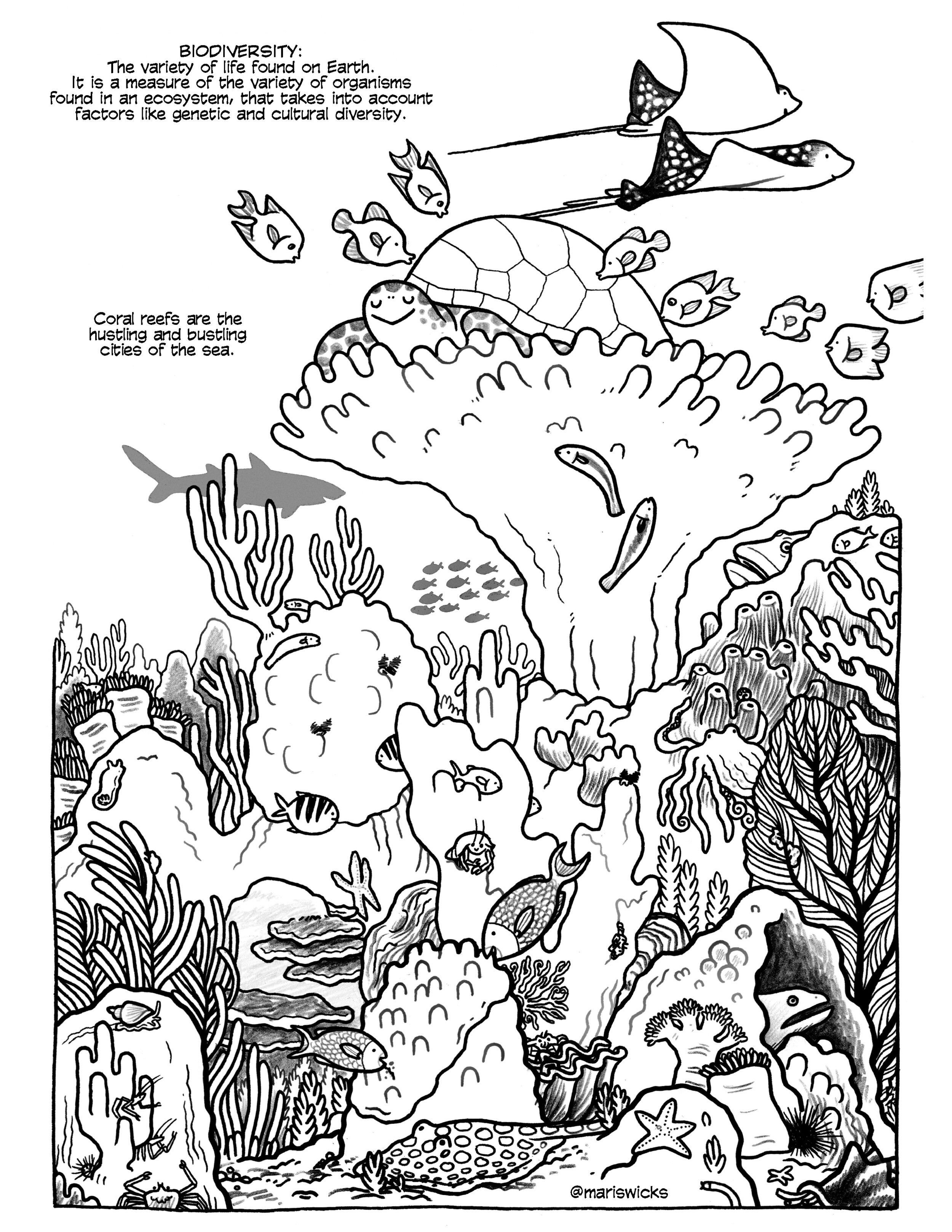 Coloring Pages Coral Reefs