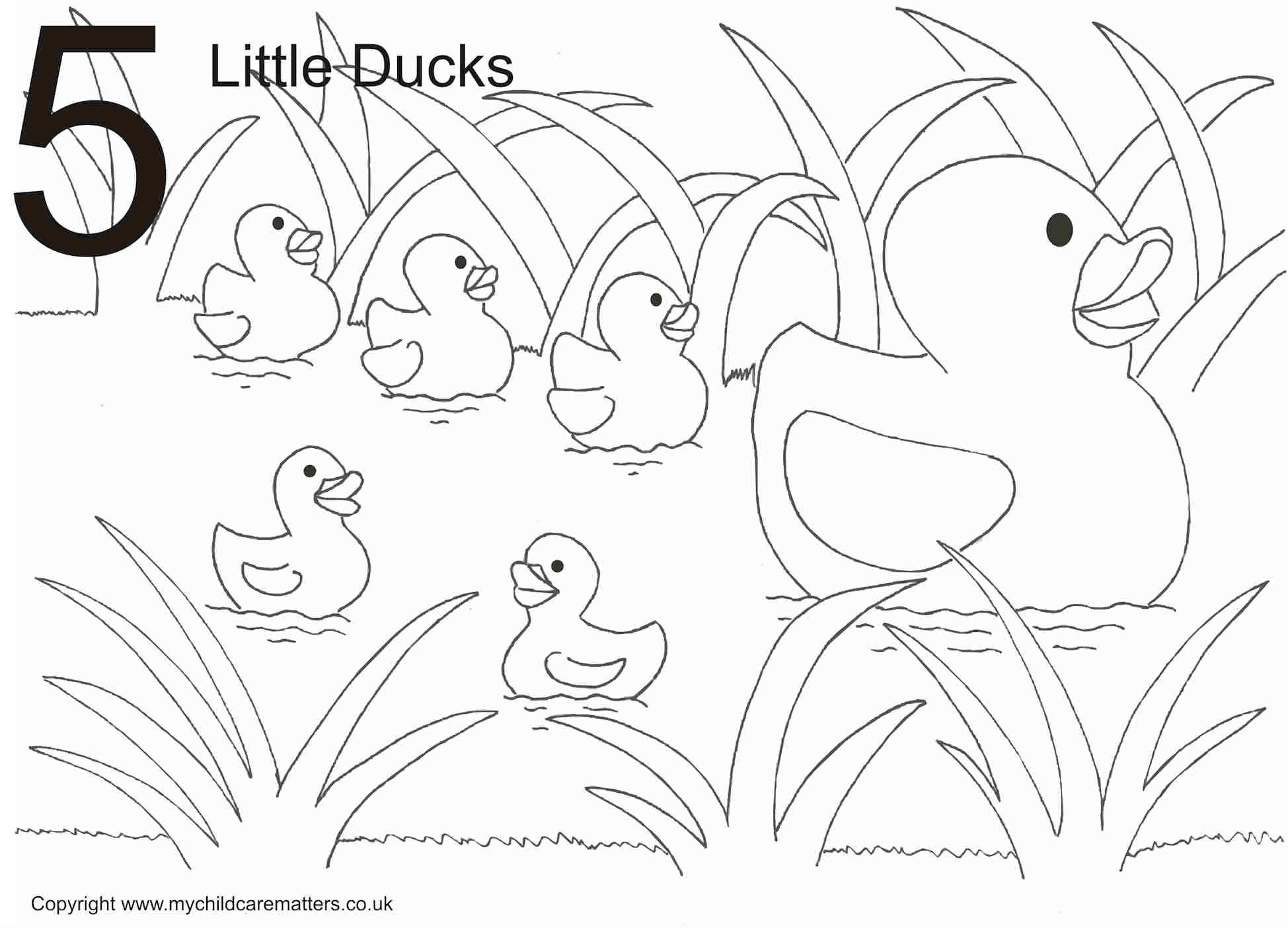 5 little ducks coloring page