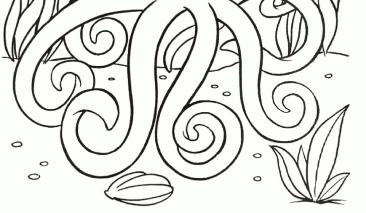 Octopus Coloring Pages Printable Octopus Coloring Pages