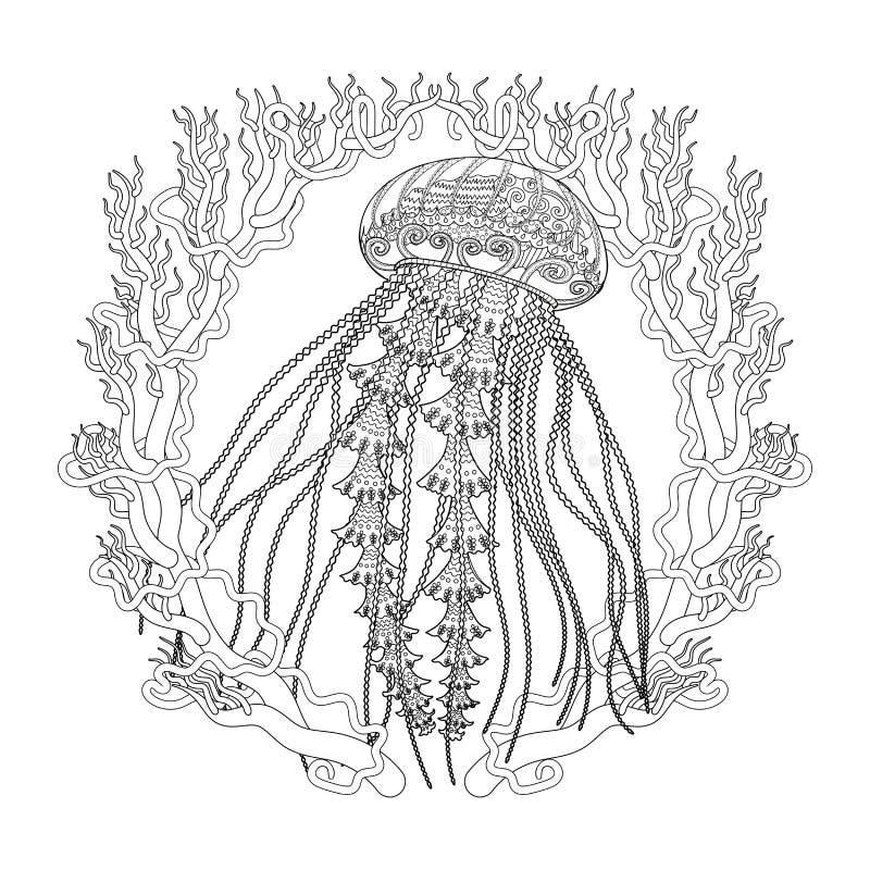 jellyfish coloring page for adults