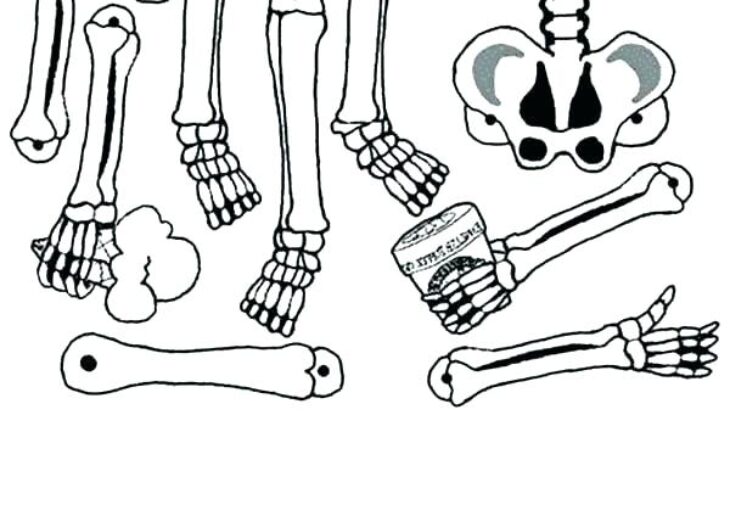 Bone Coloring Pages Bones Clipart Coloring Page, Bones Coloring Page Transparent Free For