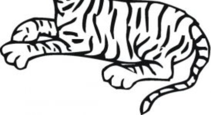 Lion And Tiger Fighting Coloring Pages Tiger Lion Coloring Pages Kids