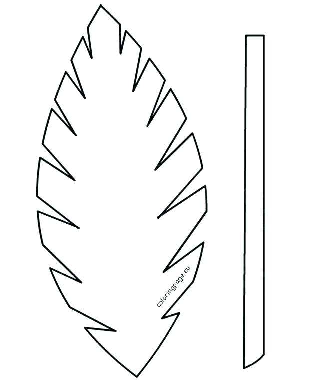 palm leaves coloring pages