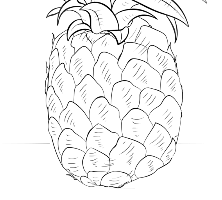 Cute Pineapple Coloring Pages Pineapple Coloring Page