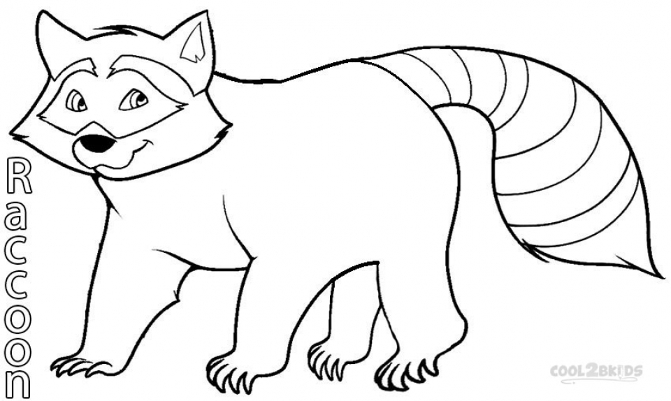 coloring page raccoon