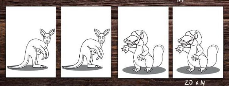 Australian Animals Coloring Pages Australian Animal Coloring Sheets Quality Coloring Page