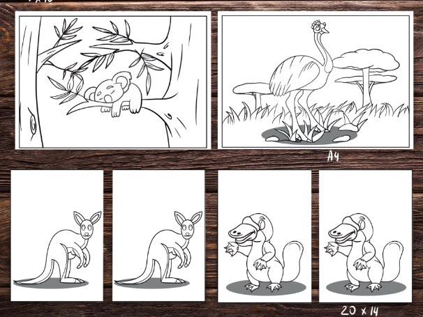 australian animals coloring pages