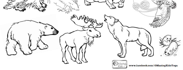 Artic Animal Coloring Pages Coloring Pages Arctic Animals Tundra Landscape Hellokids Choose Board Banquise Coloriage Popular Template