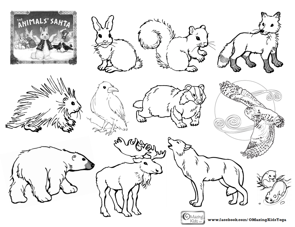 artic animal coloring pages