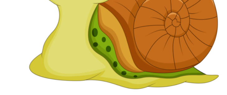 10 Dessin A Imprimer Escargot Png Coloriages à Imprimer : Escargot, Page : 7