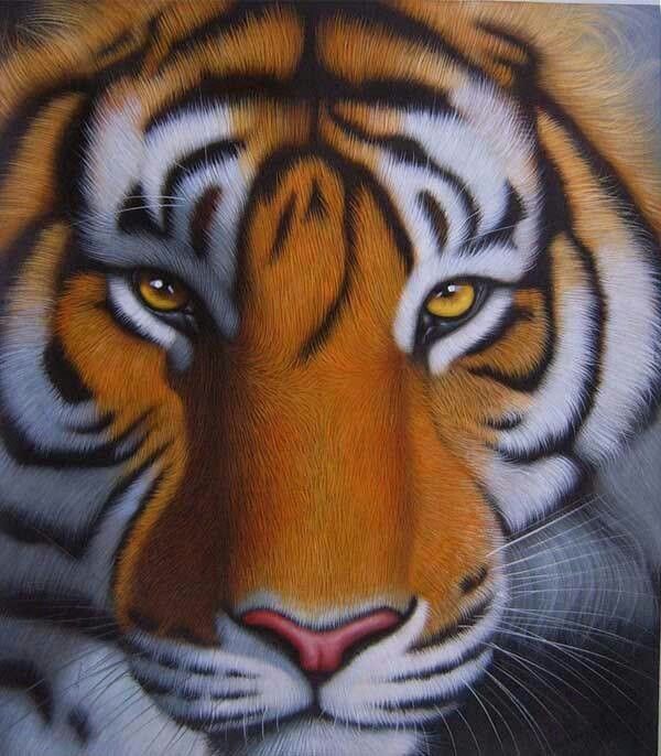 download dessin tigre facile background