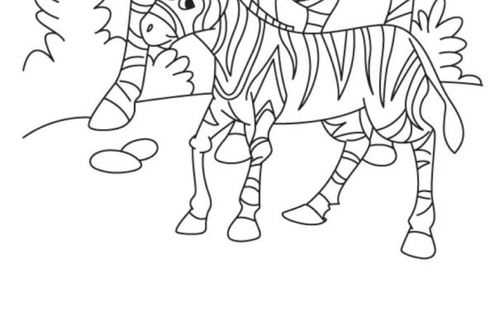 Coloring Pages Of Zebras Free Zebra Coloring Pages