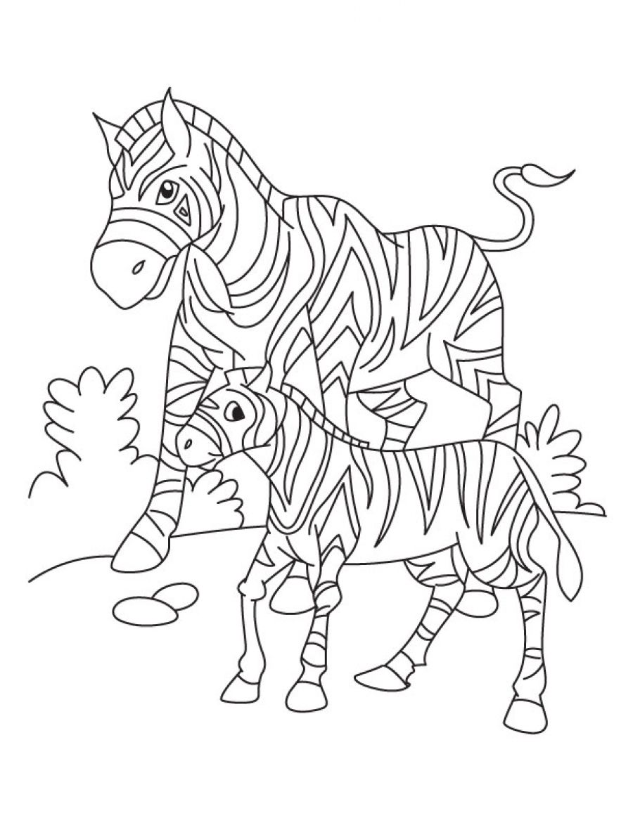 coloring pages of zebras