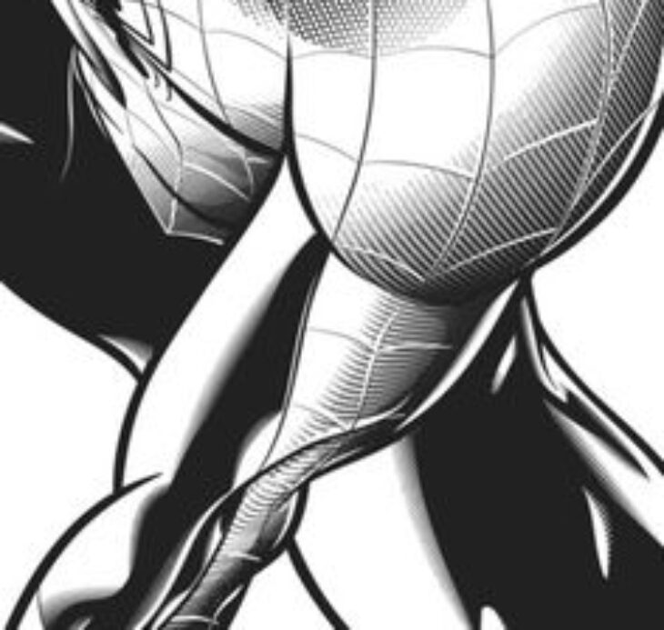 Spiderman Noir Coloring 12 Unique Spiderman Coloriage Photos