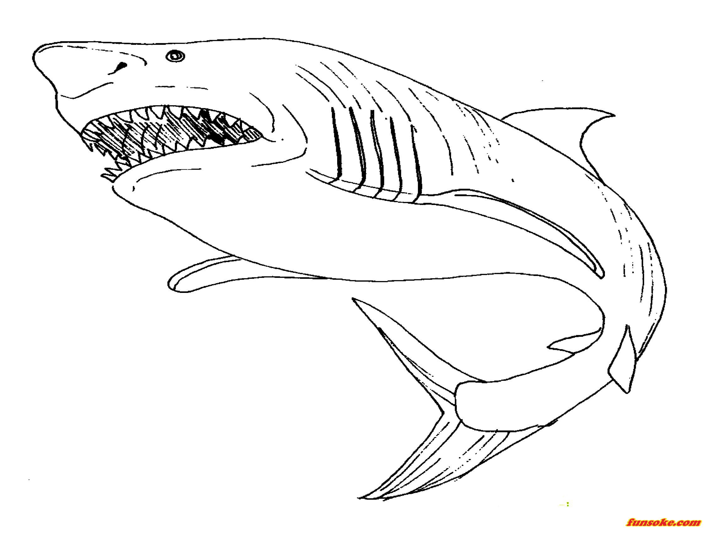 Megalodon Coloring Page To Print - Coloring Home