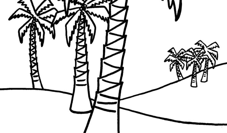 Palm Tree Coloring Pages Tree Palm Coloring Coconut Pages Color Printable Trees Smile Sheets Kids Beach Cartoon Book Coloringkidz 735px 43kb Getcolorings