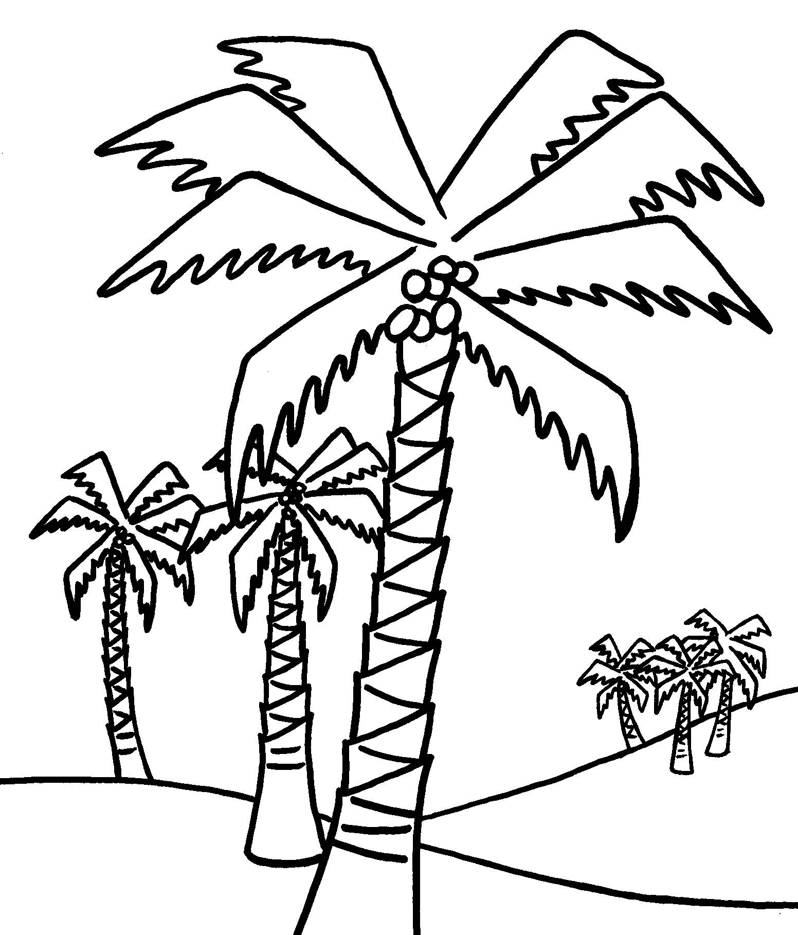 palm tree coloring pages