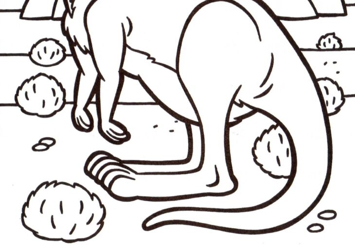 Free Kangaroo Coloring Pages Kangaroo Coloring Pages Back