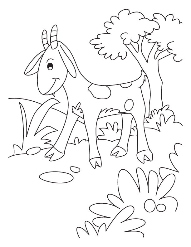 cute goat coloring pages