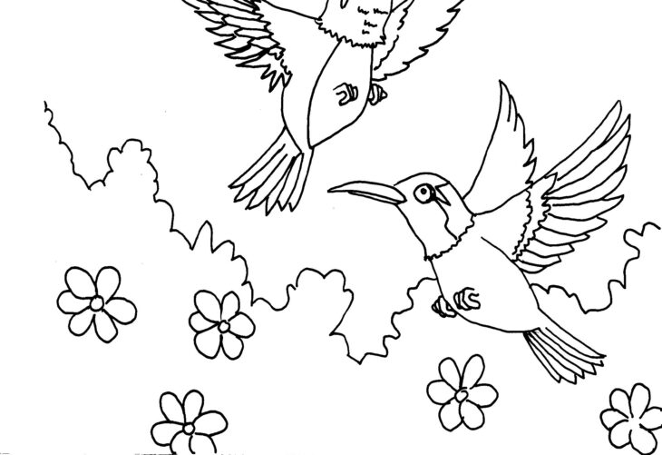 Hummingbird Coloring Pages For Adults Hummingbird Mandalas Colibri Erwachsene Colibrí Hummingbirds Adultos Ausmalbild Pájaro Acuarela Artesanía Ausmalen Coloringideas