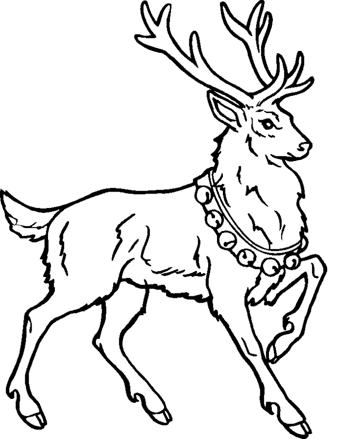 reindeer coloring pages printable