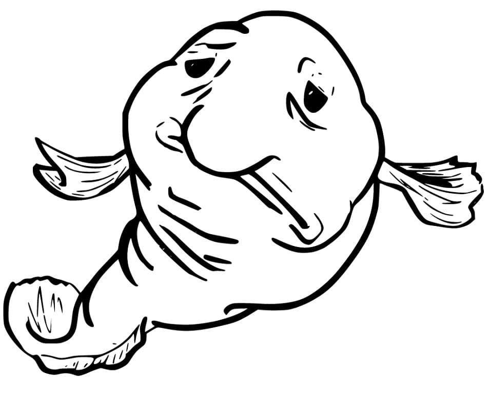 blobfish coloring page