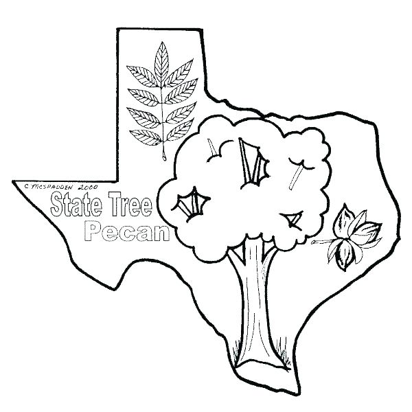 colorado coloring page