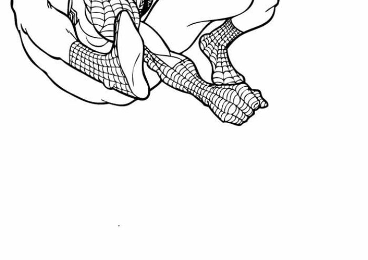 27 Coloriage Dessin Spiderman Images Spiderman Gratuit Printcoloringpages