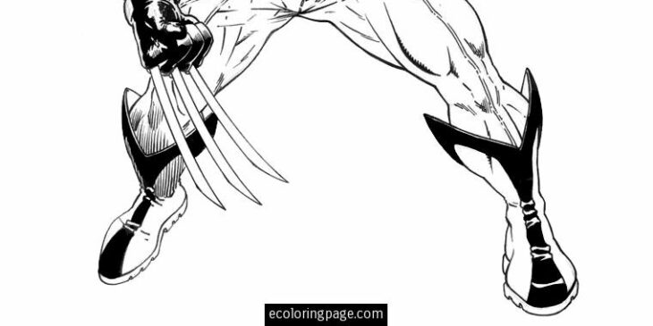 29 Dessin A Imprimer Wolverine Background Wolverine Gratuitement