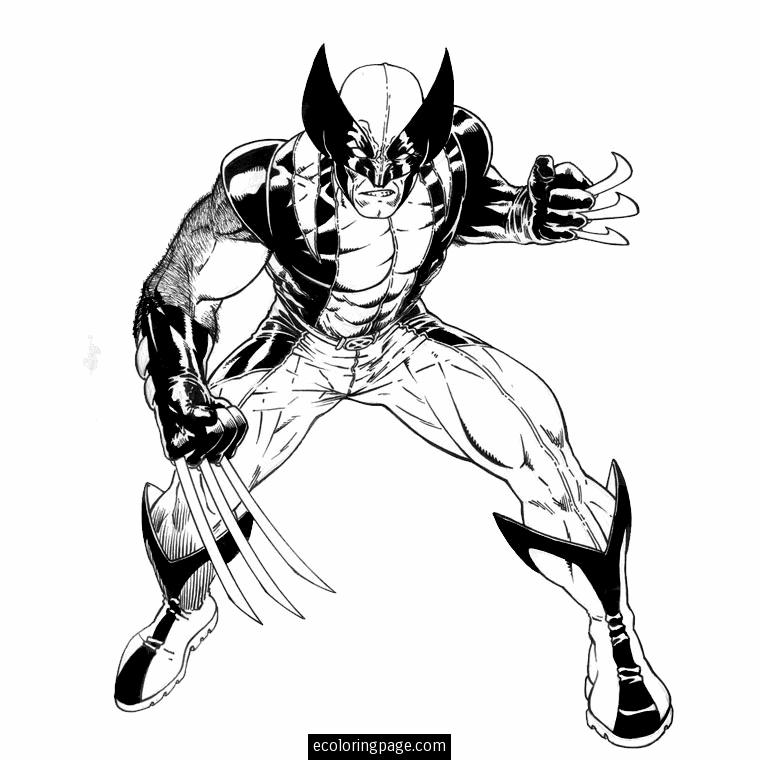 29 dessin a imprimer wolverine background