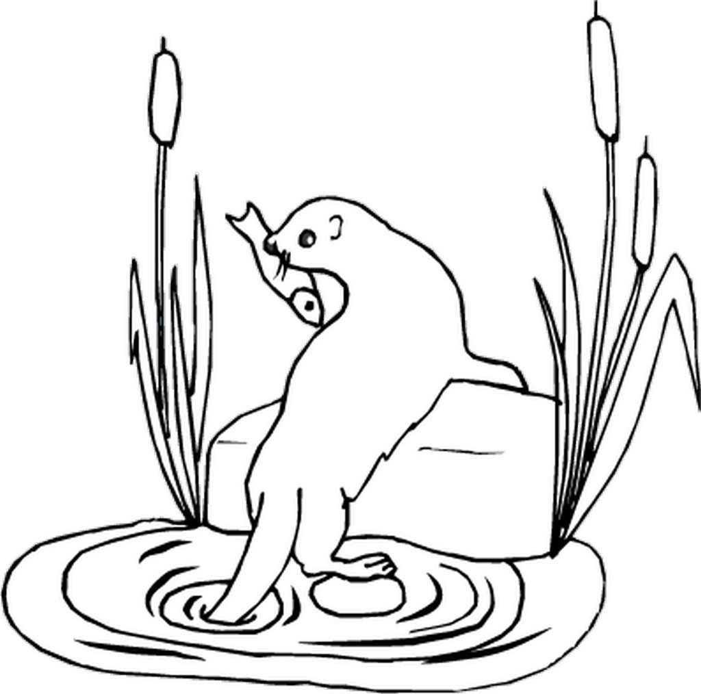 otter coloring pages