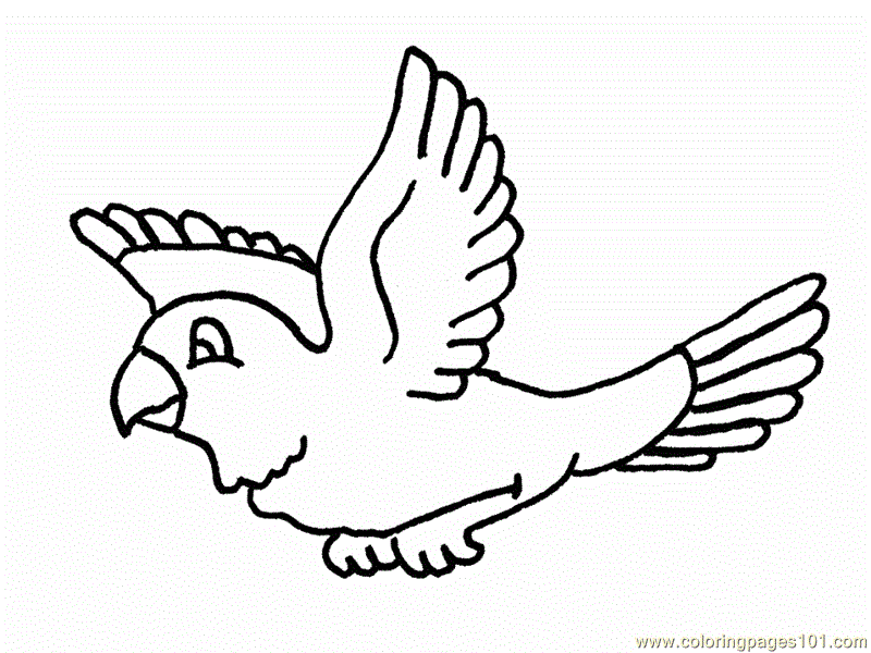 Flying Bird Coloring Pages - Coloring Home