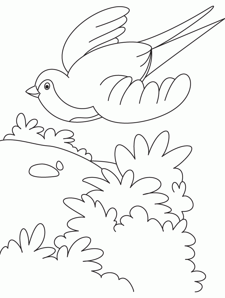 birds flying coloring pages