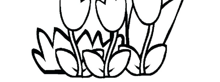 Honey Bee Bee Coloring Pages Coloring Bee Beehive Pages Coloringbay