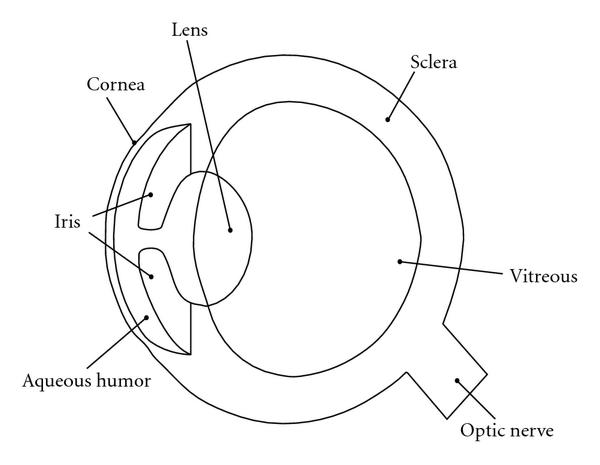 human eye coloring page