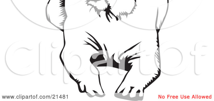 Labrador Retriever Coloring Page Labrador Retriever Coloring, Download Labrador Retriever Coloring For